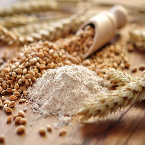 全粒粉＆食物繊維配合