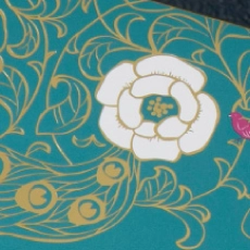 三つ目、特別なパッケージをご用意しました。